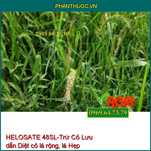 HELOSATE 48SL-Trừ Cỏ Lưu dẫn Diệt cỏ lá rộng, lá Hẹp