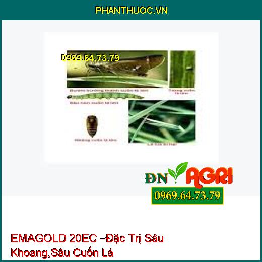 EMAGOLD 20EC –Đặc Trị Sâu Khoang,Sâu Cuốn Lá