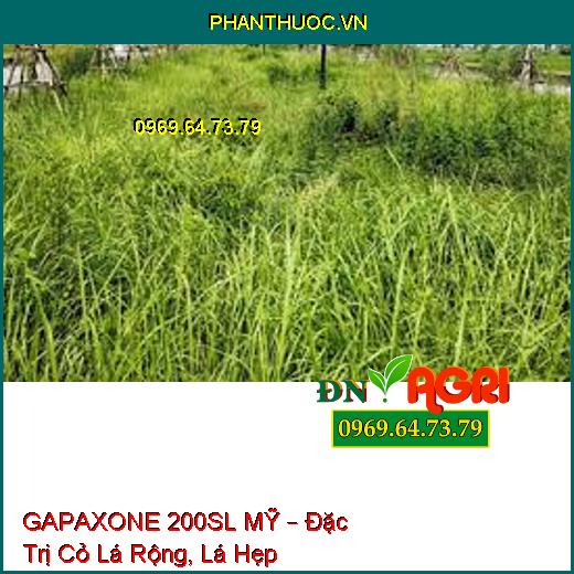 GAPAXONE 200SL MỸ – Đặc Trị Cỏ Lá Rộng, Lá Hẹp