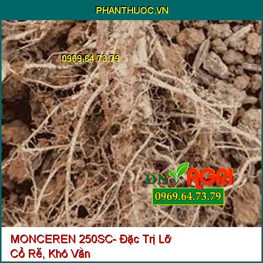 MONCEREN 250SC- Đặc Trị Lỡ Cổ Rễ, Khô Vằn