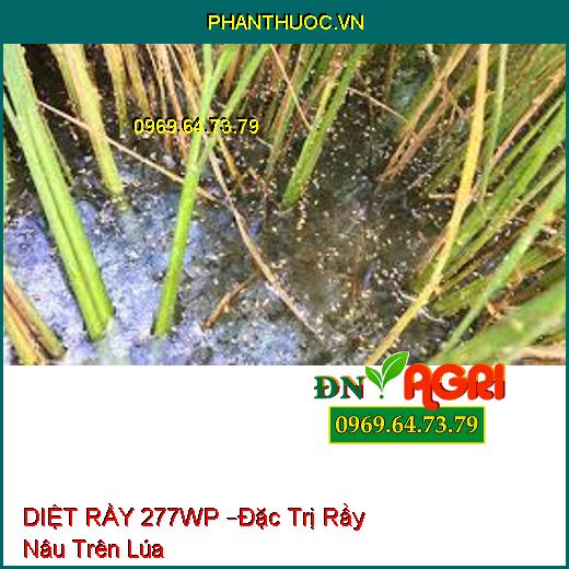 DIỆT RẦY 277WP –Đặc Trị Rầy Nâu Trên Lúa