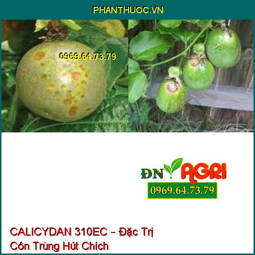 CALICYDAN 310EC – Đặc Trị Côn Trùng Hút Chích