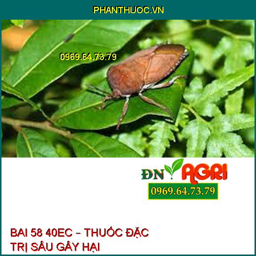 BAI 58 40EC – THUỐC ĐẶC TRỊ SÂU GÂY HẠI