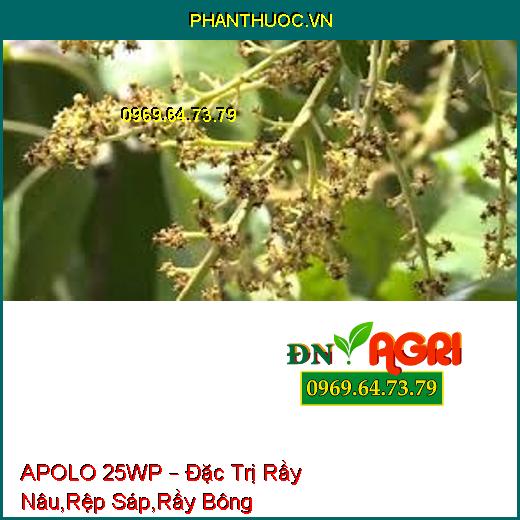 APOLO 25WP – Đặc Trị Rầy Nâu,Rệp Sáp,Rầy Bông