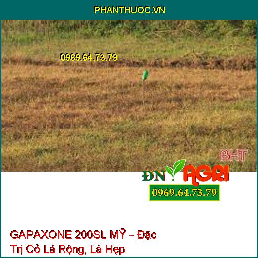 GAPAXONE 200SL MỸ – Đặc Trị Cỏ Lá Rộng, Lá Hẹp