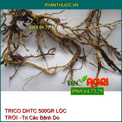 TRICO DHTC 500GR LỘC TRỜI –Trị Các Bệnh Do Nấm,Thối Rễ