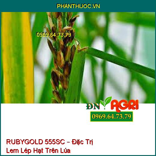 RUBYGOLD 555SC – Đặc Trị Lem Lép Hạt Trên Lúa