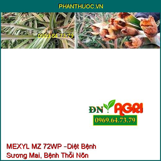 MEXYL MZ 72WP –Diệt Bệnh Sương Mai, Bệnh Thỗi Nõn