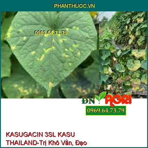 KASUGACIN 3SL KASU THAILAND-Trị Khô Vằn, Đạo Ôn,Sương Mai