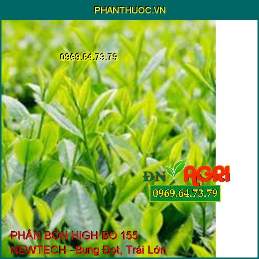 PHÂN BÓN HIGH BO 155 NEWTECH –Bung Đọt, Trái Lớn