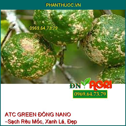 ATC GREEN ĐỒNG NANO –Sạch Rêu Mốc, Xanh Lá, Đẹp Trái