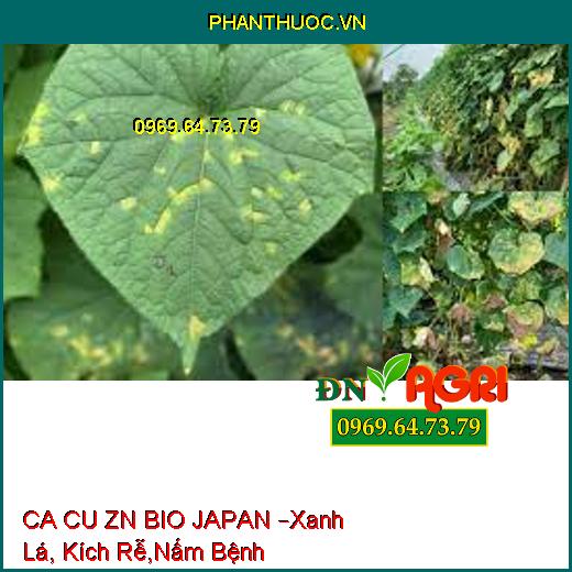 CA CU ZN BIO JAPAN –Xanh Lá, Kích Rễ,Nấm Bệnh