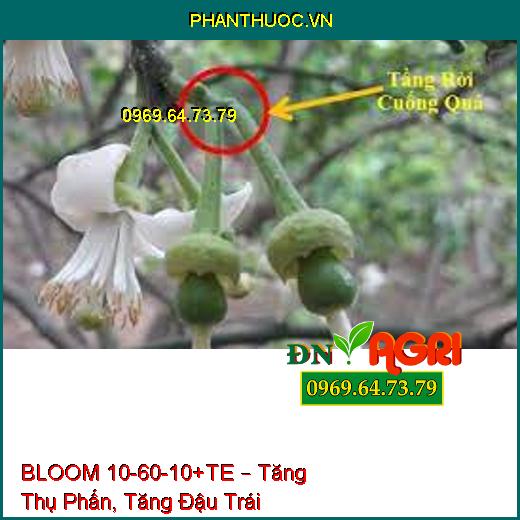 BLOOM 10-60-10+TE – Tăng Thụ Phấn, Tăng Đậu Trái