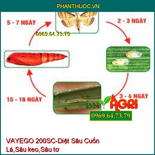 VAYEGO 200SC-Diệt Sâu Cuốn Lá,Sâu keo,Sâu tơ