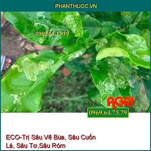 ECO-Trị Sâu Vẽ Bùa, Sâu Cuốn Lá, Sâu Tơ,Sâu Róm