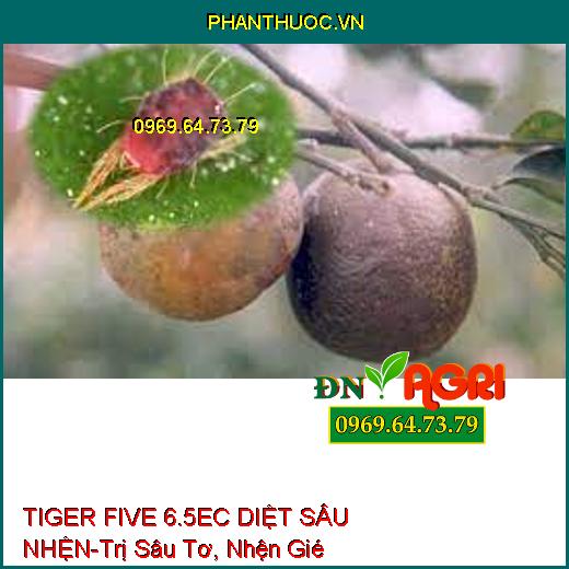 TIGER FIVE 6.5EC DIỆT SÂU NHỆN-Trị Sâu Tơ, Nhện Gié