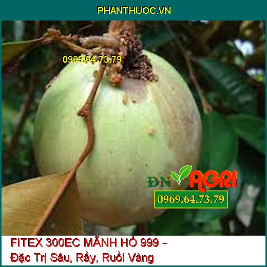 FITEX 300EC MÃNH HỔ 999 – Đặc Trị Sâu, Rầy, Ruồi Vàng