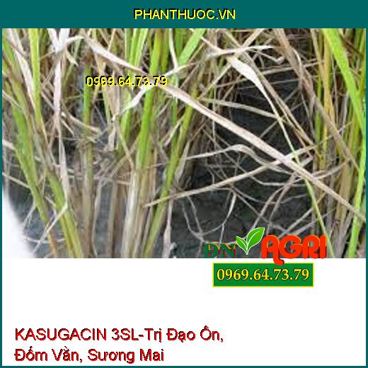 KASUGACIN 3SL-Trị Đạo Ôn, Đốm Vằn, Sương Mai