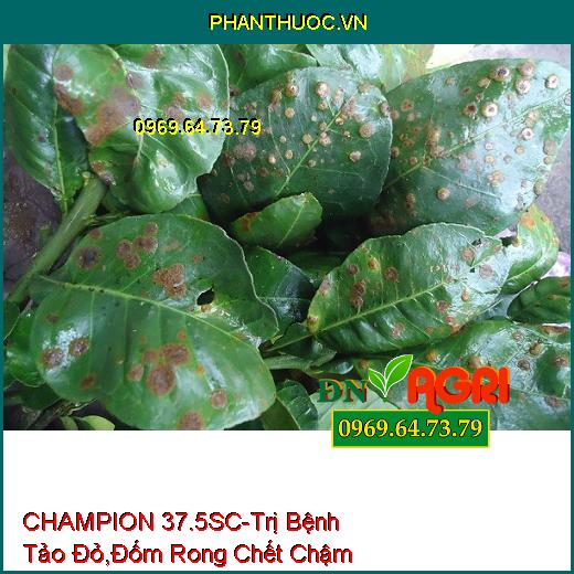 CHAMPION 37.5SC-Trị Bệnh Tảo Đỏ,Đốm Rong Chết Chậm