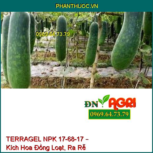 TERRAGEL NPK 17-68-17 – Kích Hoa Đồng Loạt, Ra Rễ