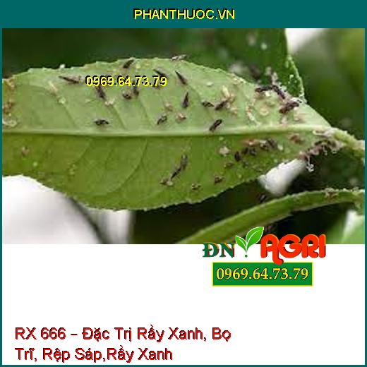 RX 666 – Đặc Trị Rầy Xanh, Bọ Trĩ, Rệp Sáp,Rầy Xanh