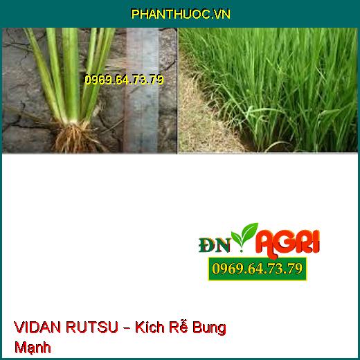 VIDAN RUTSU – Kích Rễ Bung Mạnh