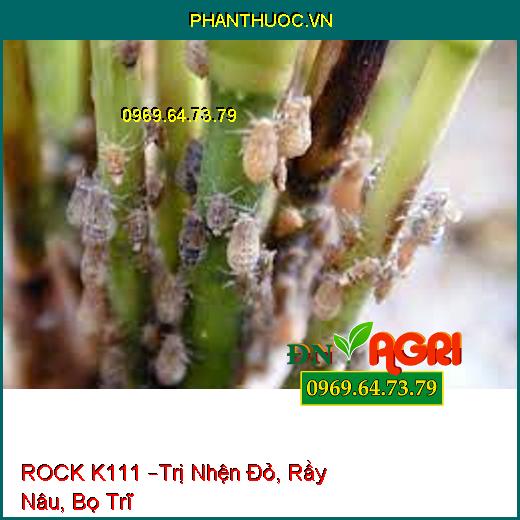 ROCK K111 –Trị Nhện Đỏ, Rầy Nâu, Bọ Trĩ