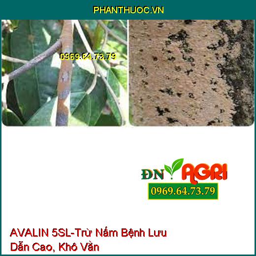 AVALIN 5SL-Trừ Nấm Bệnh Lưu Dẫn Cao, Khô Vằn