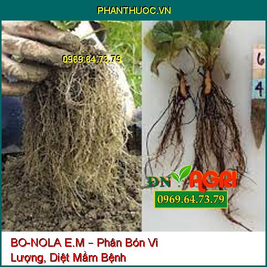 BO-NOLA E.M – Phân Bón Vi Lượng, Diệt Mầm Bệnh