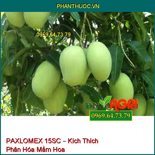 PAXLOMEX 15SC – Kích Thích Phân Hóa Mầm Hoa