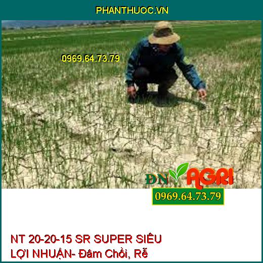 NT 20-20-15 SR SUPER SIÊU LỢI NHUẬN- Đâm Chồi, Rễ