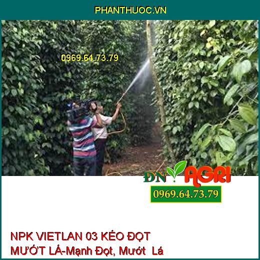 NPK VIETLAN 03 KÉO ĐỌT MƯỚT LÁ-Mạnh Đọt, Mướt Lá