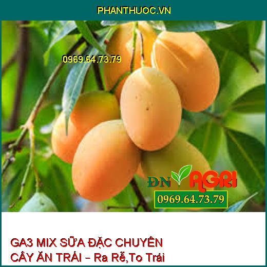 GA3 MIX SỮA ĐẶC CHUYÊN CÂY ĂN TRÁI – Ra Rễ,To Trái