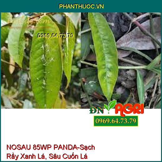 NOSAU 85WP PANDA-Sạch Rầy Xanh Lá, Sâu Cuốn Lá