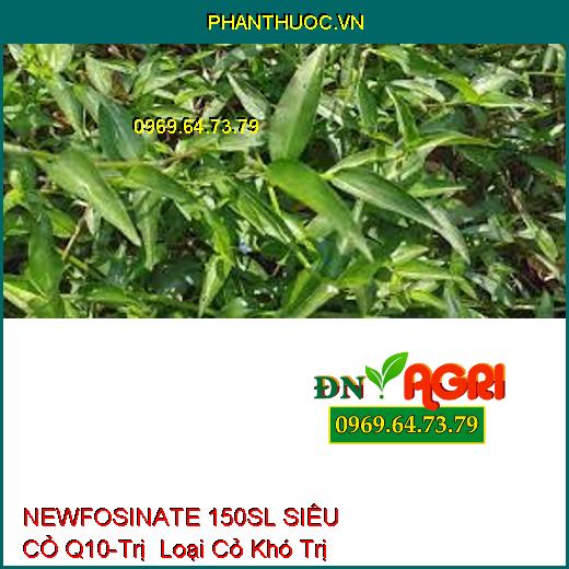 NEWFOSINATE 150SL SIÊU CỎ Q10-Trị Loại Cỏ Khó Trị