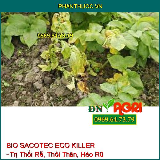 BIO SACOTEC ECO KILLER –Trị Thối Rễ, Thối Thân, Héo Rũ