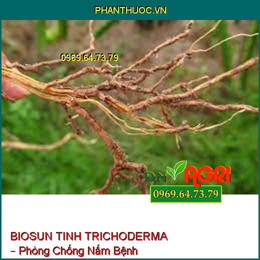 BIOSUN TINH TRICHODERMA – Phòng Chống Nấm Bệnh