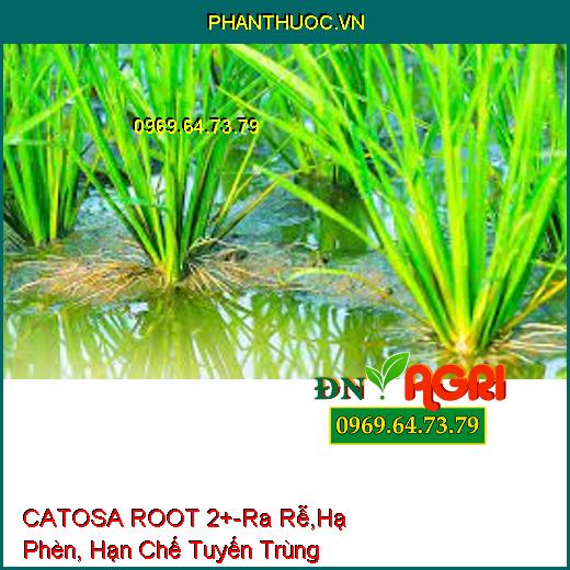 CATOSA ROOT 2+-Ra Rễ,Hạ Phèn, Hạn Chế Tuyến Trùng