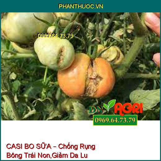 CASI BO SỮA – Chống Rụng Bông Trái Non,Giảm Da Lu