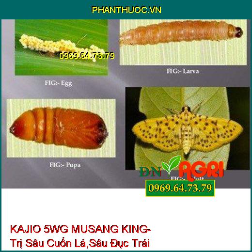 KAJIO 5WG MUSANG KING- Trị Sâu Cuốn Lá,Sâu Đục Trái