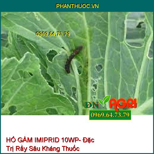 HỔ GẦM IMIPRID 10WP- Đặc Trị Rầy Sâu Kháng Thuốc