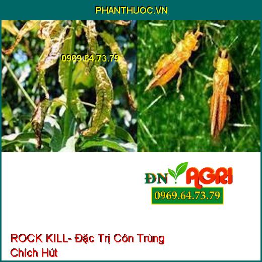 ROCK KILL- Đặc Trị Côn Trùng Chích Hút