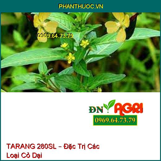 TARANG 280SL – Đặc Trị Các Loại Cỏ Dại