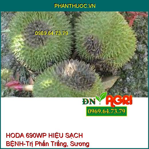 HODA 690WP HIỆU SẠCH BỆNH-Trị Phấn Trắng, Sương Mai