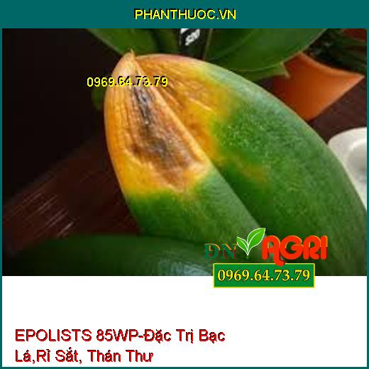 EPOLISTS 85WP-Đặc Trị Bạc Lá,Rỉ Sắt, Thán Thư