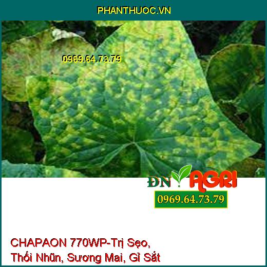 CHAPAON 770WP-Trị Sẹo, Thối Nhũn, Sương Mai, Gỉ Sắt