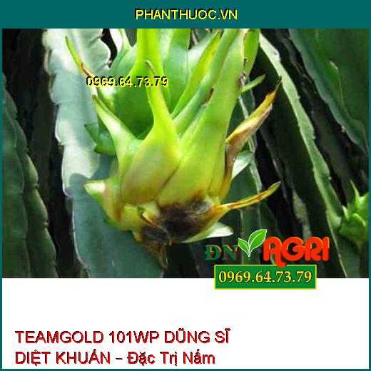 TEAMGOLD 101WP DŨNG SĨ DIỆT KHUẨN – Đặc Trị Nấm