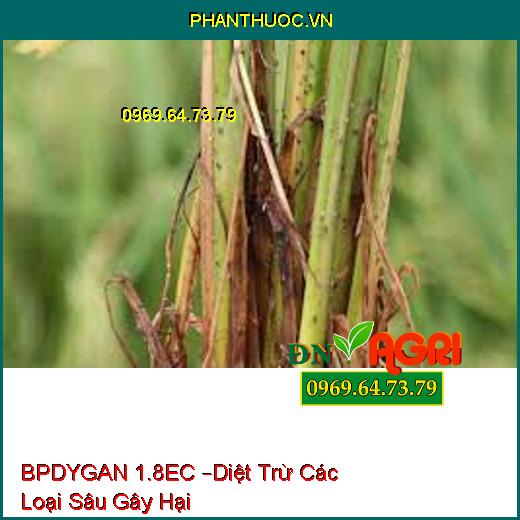 BPDYGAN 1.8EC –Diệt Trừ Các Loại Sâu Gây Hại