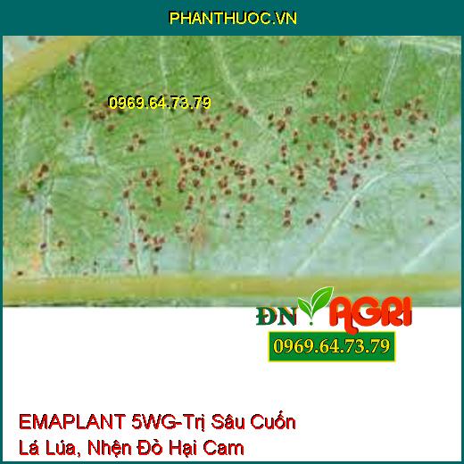 EMAPLANT 5WG-Trị Sâu Cuốn Lá Lúa, Nhện Đỏ Hại Cam