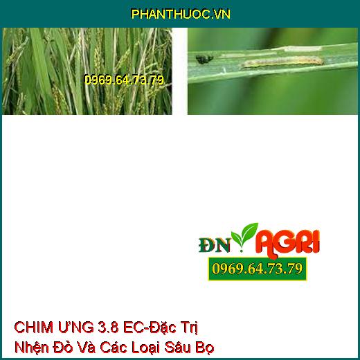 CHIM ƯNG 3.8 EC-Đặc Trị Nhện Đỏ Và Các Loại Sâu Bọ